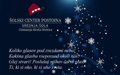 Vesel božič in srečno novo leto 2019