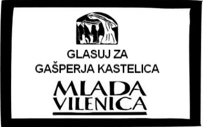 Natečaj za najboljše pesmi mladih pesnikov osnovnih in srednjih šol Mlada Vilenica 2020 – GLASUJ ZA GAŠPERJA KASTELICA